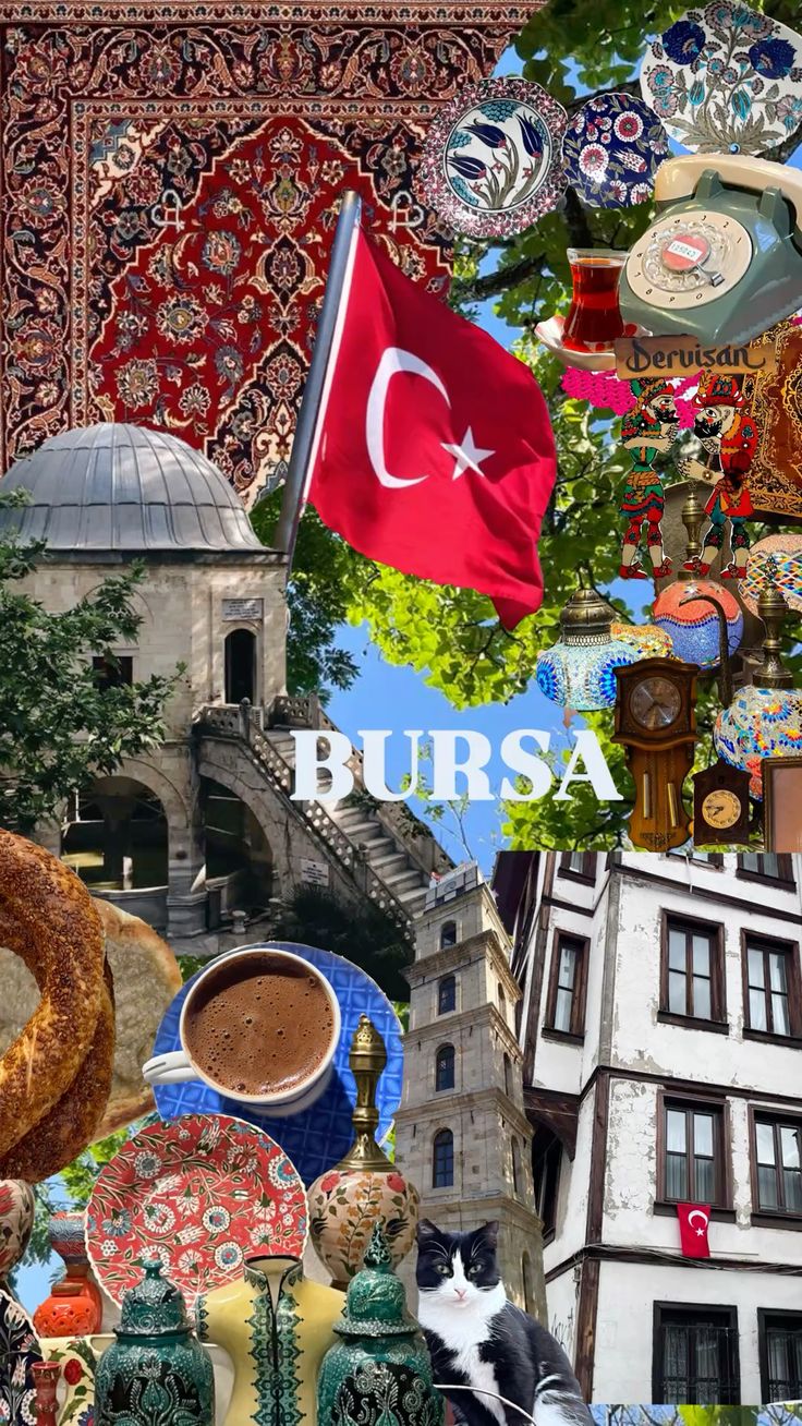 Gemlik Halı Yıkama için Bursa şehir kolajı görseli