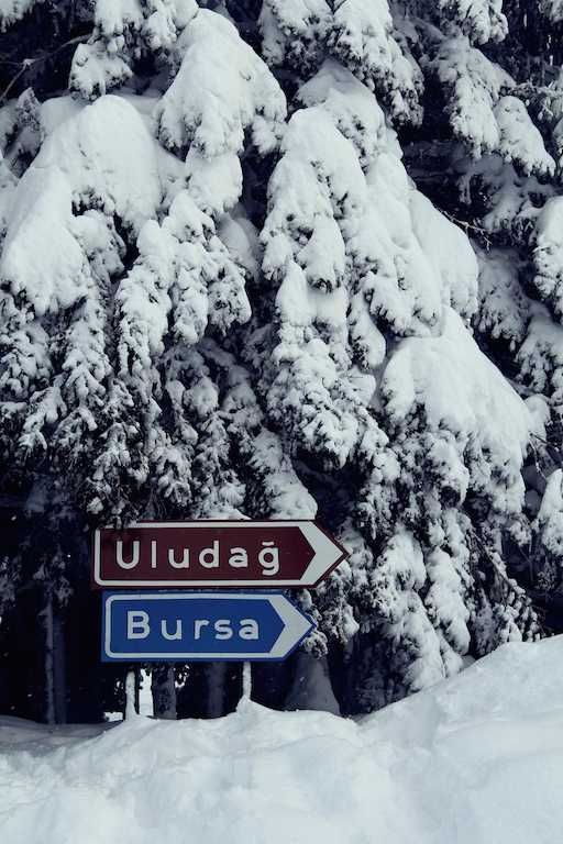 Mudanya Halı Yıkama için Bursa Uludağ görseli